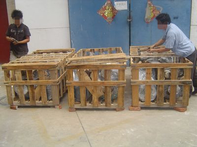 新疆中石油攪拌機發(fā)貨